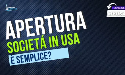 Costituire una società negli USA